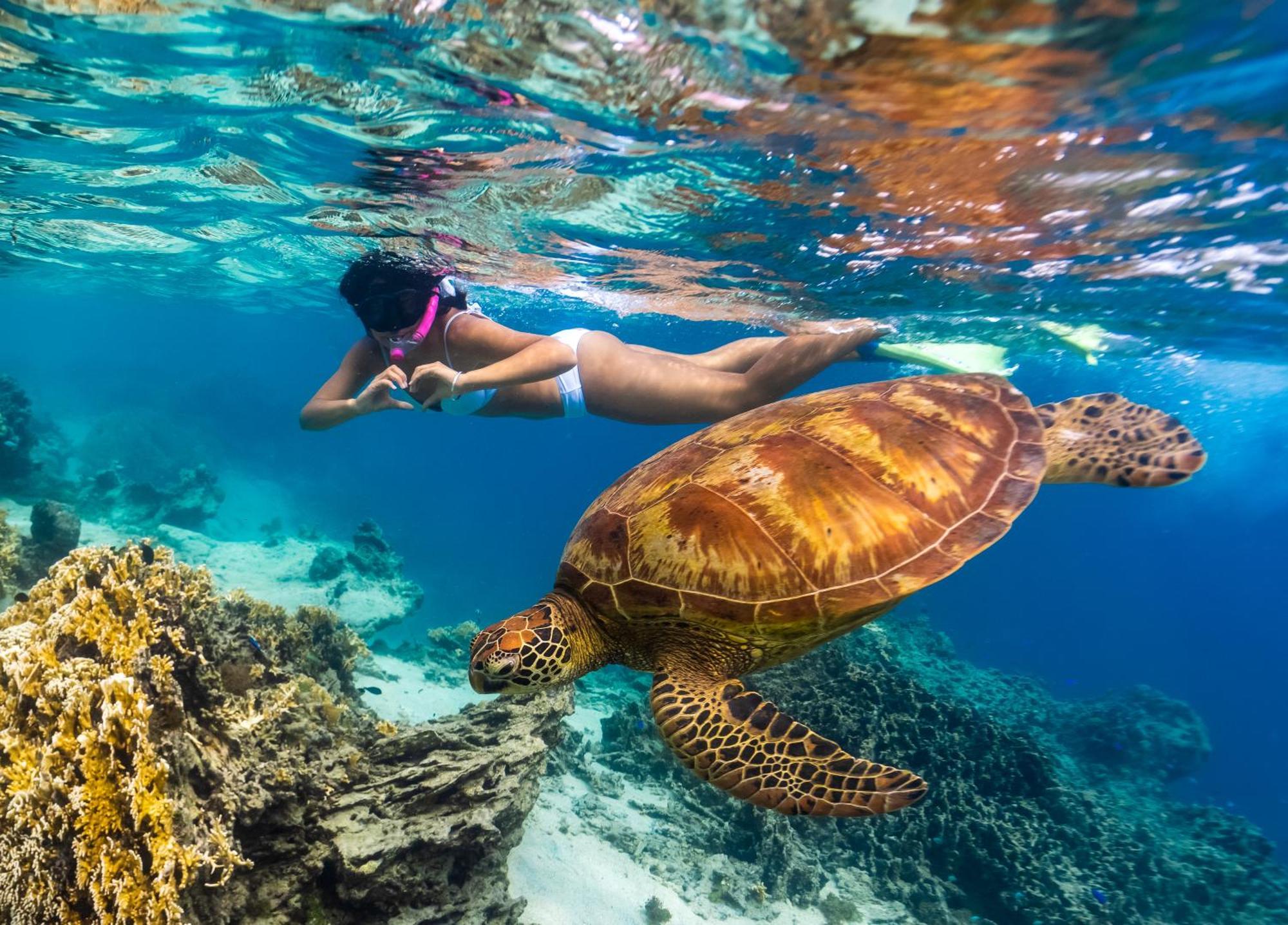 The Rarotongan Beach Resort & Lagoonarium Exterior foto